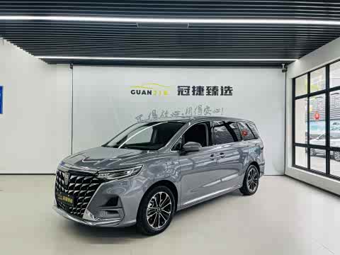 Roewe i MAX 8 2023 400 TGI — фото 18