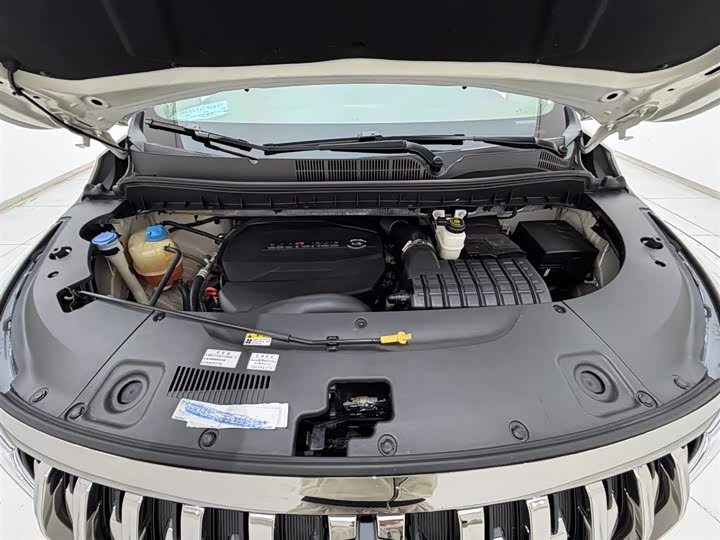 Trumpchi M8 2021 390 T — фото 18