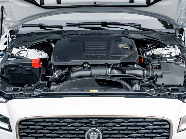 Jaguar XFL 2024 2.0 T P 300 4 WD — фото 24