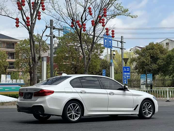 BMW 5-Series 2018 525 Li M — фото 13