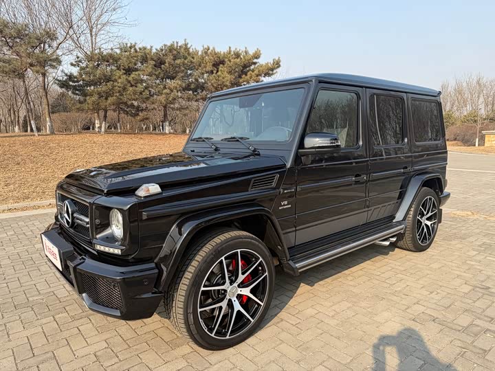 Mercedes-Benz G-Class 2016 AMG G 63 Edition 463 — фото 1