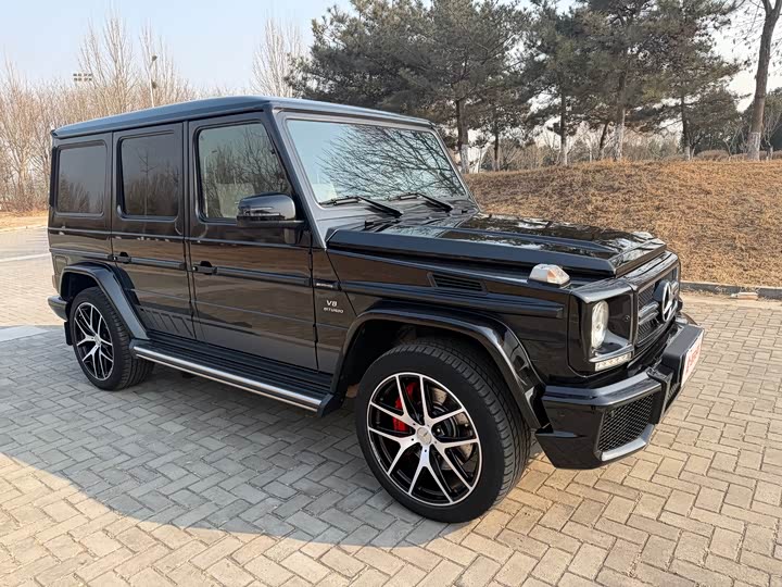 Mercedes-Benz G-Class 2016 AMG G 63 Edition 463 — фото 5
