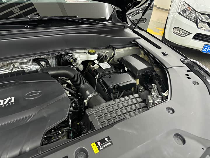 Trumpchi GS8 2022 2.0 TGDI 2 WD ( ) — фото 17