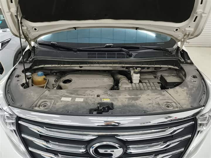 Trumpchi M8 2018 320 T — фото 20