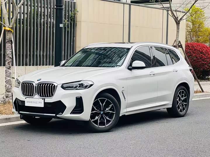 BMW X3 2023 x Drive 25i M — фото 1