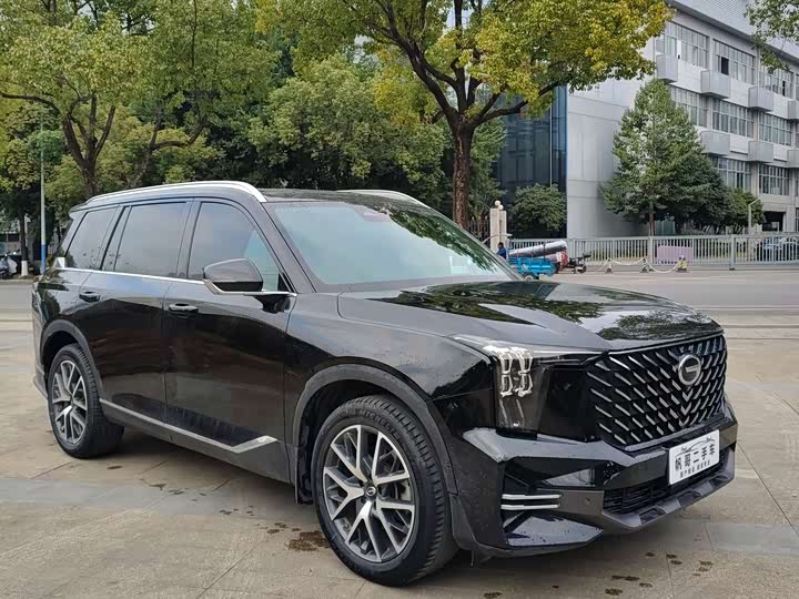 Trumpchi GS8 2022 2.0 TGDI 2 WD ( ) — фото 3