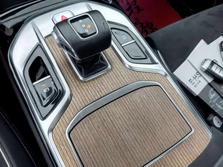 Hongqi E-HS 2021 460km — фото 13