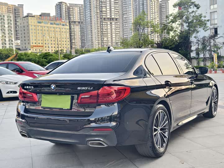 BMW 5-Series 2020 530 Li M — фото 7