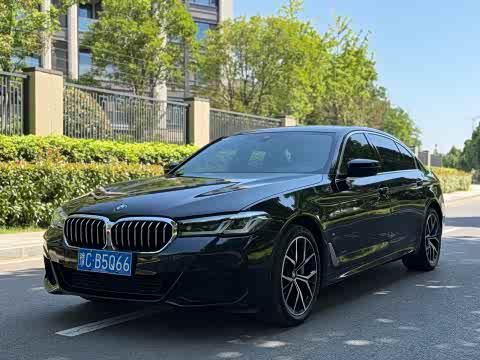 BMW 5-Series 2023 530 Li M — фото 10