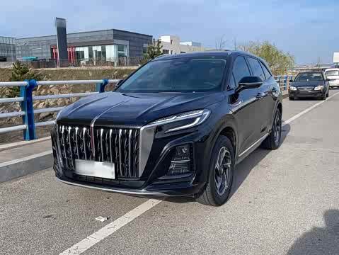 Hongqi HS3 2023 1.5 T 2 WD — фото 26