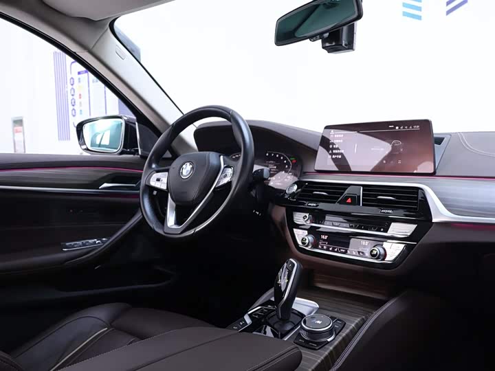 BMW 5-Series 2020 530 Li — фото 14