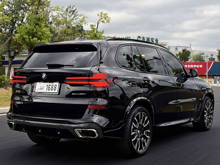 BMW X5 xDrive 30Li M спортпакет — фото 8