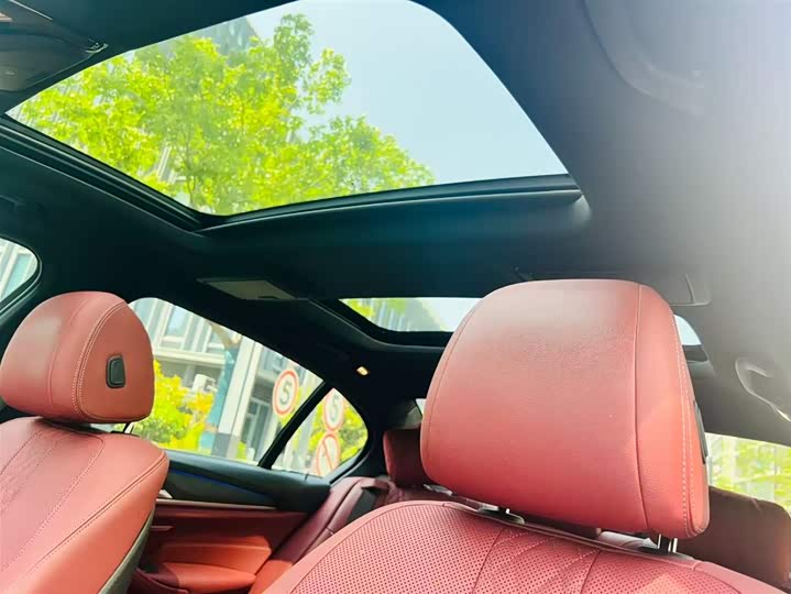 BMW 5-Series 2021 530 Li Leading M — фото 16