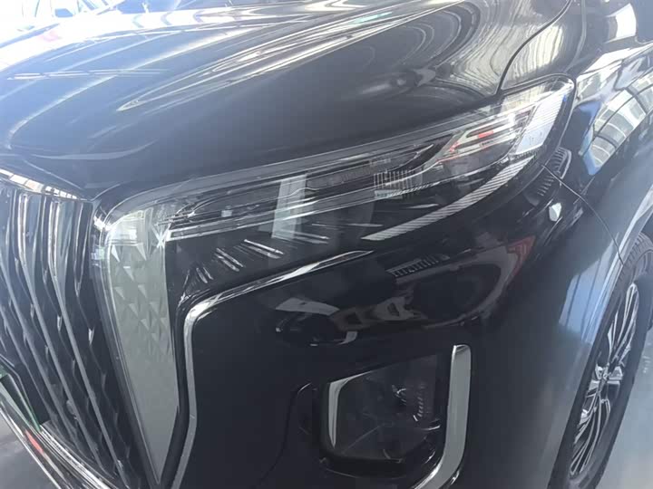 Hongqi HQ9 PHEV 2024 2.0 T 4 WD — фото 24