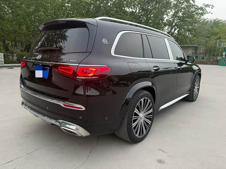 Maybach GLS 2021 GLS 480 4 MATIC — фото 11