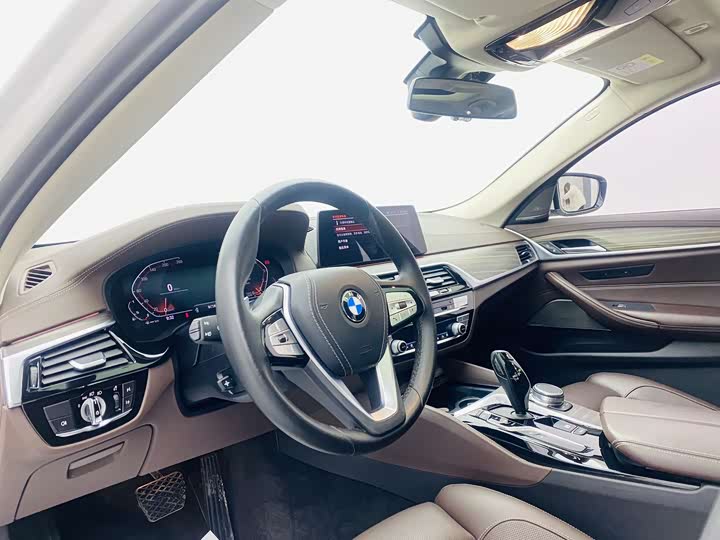 BMW 5-Series 2020 530 Li — фото 15