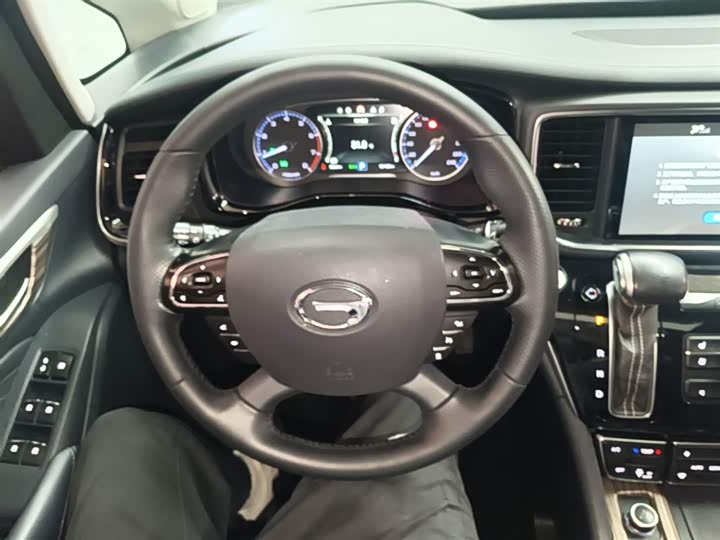 Trumpchi M8 2018 320 T — фото 11