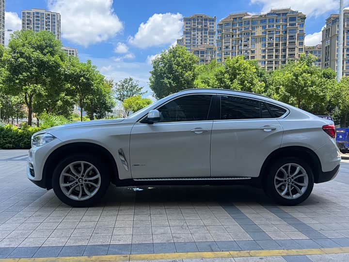 BMW X6 xDrive28i — фото 4