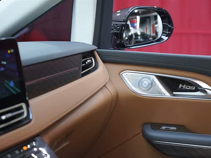 Hongqi HQ9 PHEV 2024 2.0 T 4 WD — фото 16