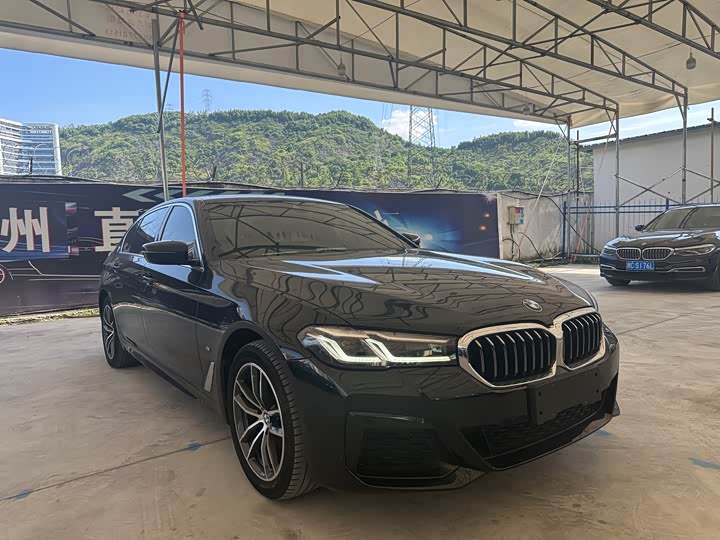 BMW 5 Series 525Li люкс-пакет — фото 3
