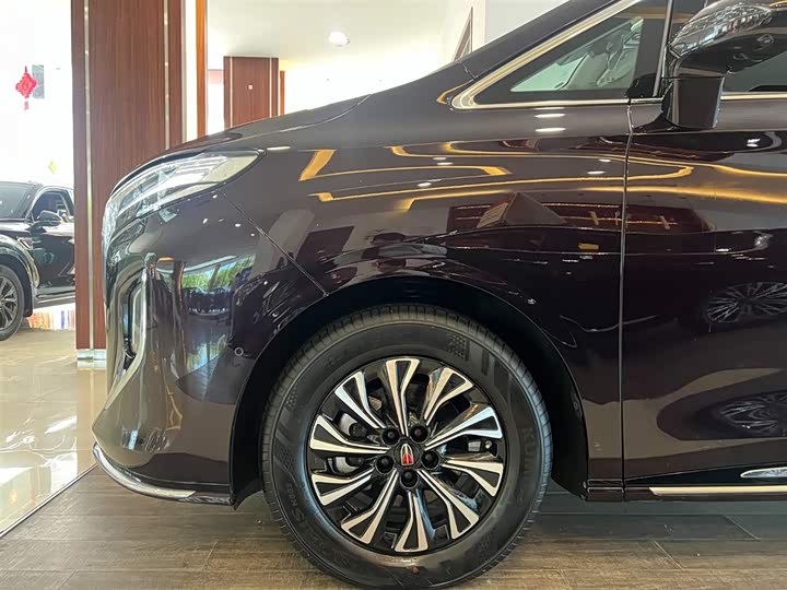 Hongqi HQ9 PHEV 2024 2.0 T 4 WD — фото 11