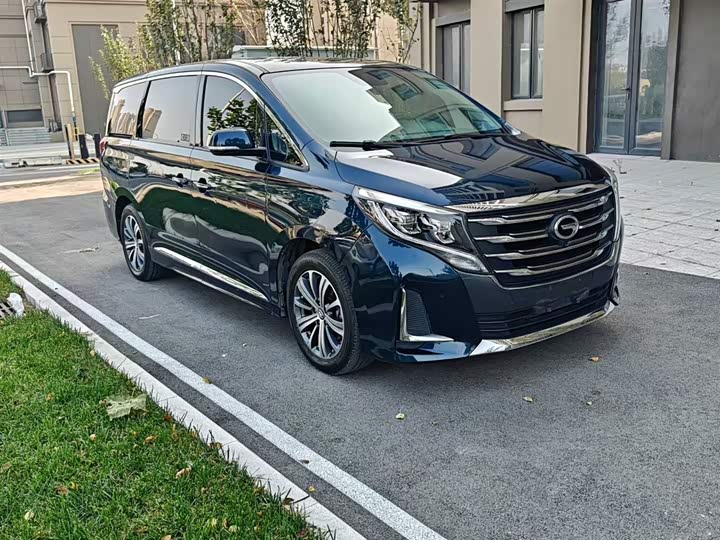 Trumpchi M8 2020 390 T — фото 10