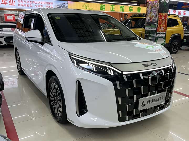 BYD M 9 2025 1060