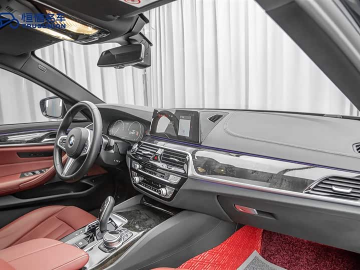 BMW 5-Series 2019 530 Li x Drive M — фото 18