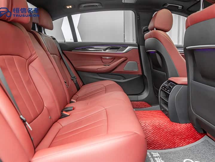 BMW 5-Series 2019 530 Li x Drive M — фото 16