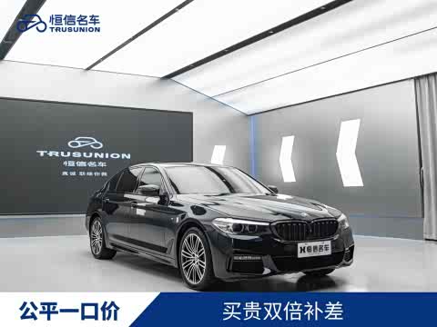 BMW 5-Series 2019 530 Li x Drive M — фото 23