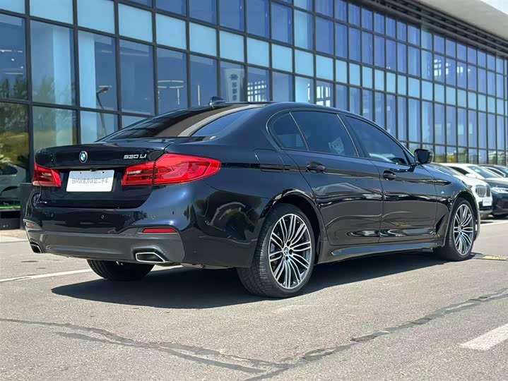 BMW 5-Series 2019 530 Li Leading M — фото 7
