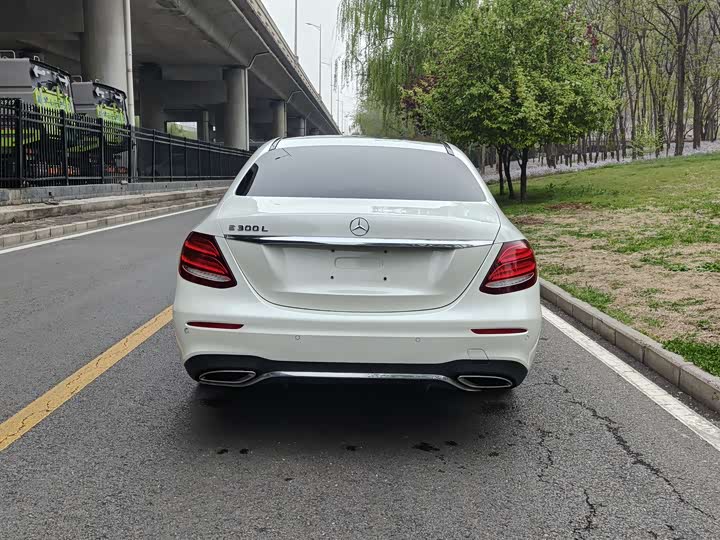 Mercedes-Benz E-Class 2018 E 300 L — фото 21