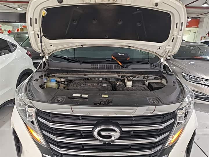 Trumpchi M8 2021 390 T — фото 20
