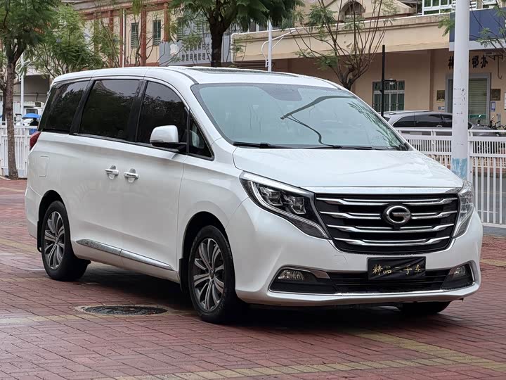 Trumpchi M8 2018 320 T — фото 3