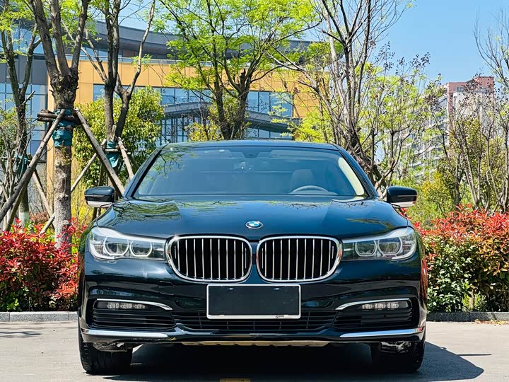 BMW 7 Series 730Li продвинутая — фото 2