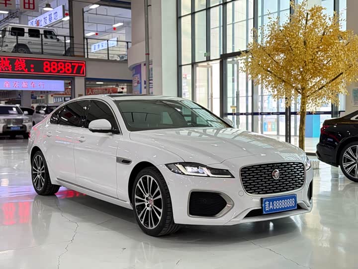 Jaguar XFL 2025 2.0 T P 250 2 WD — фото 3
