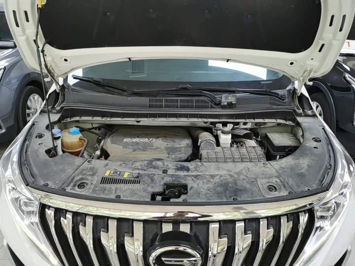 Trumpchi M8 2021 390 T — фото 20