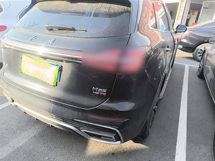 Hongqi HS5 2023 2.0 T 4 WD Pro — фото 8