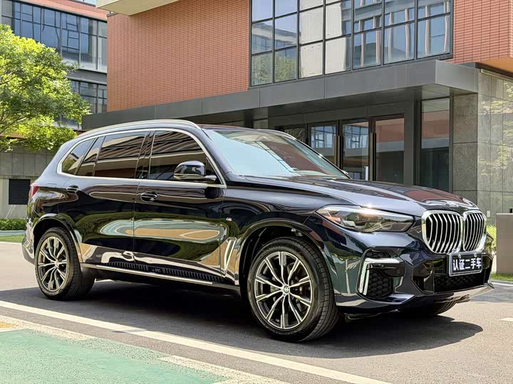 BMW X5 2022 x Drive 30 Li M — фото 3