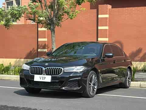 BMW 5-Series 2023 530 Li Leading M — фото 9