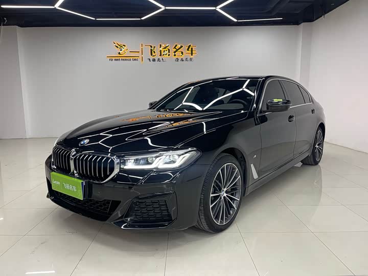 BMW 5-Series 2021 530 Li Leading M — фото 1