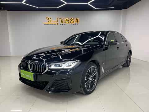 BMW 5-Series 2021 530 Li Leading M — фото 18