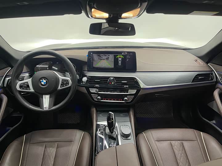 BMW 5-Series 2021 530 Li Leading M — фото 11