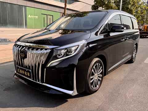 Trumpchi M8 2021 390 T — фото 29