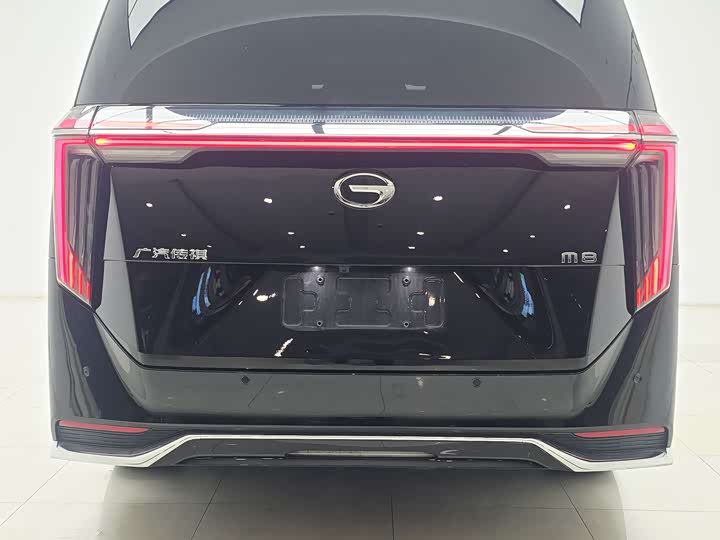 Trumpchi M8 2024 400 T — фото 6