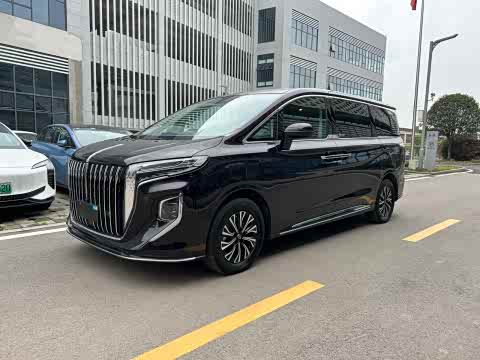 Hongqi HQ9 PHEV 2024 2.0 T 4 WD — фото 18