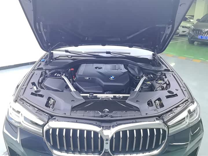 BMW 5-Series 2022 530 Li Leading M — фото 10