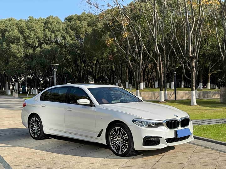 BMW 5-Series 2019 530 Li Leading M — фото 3