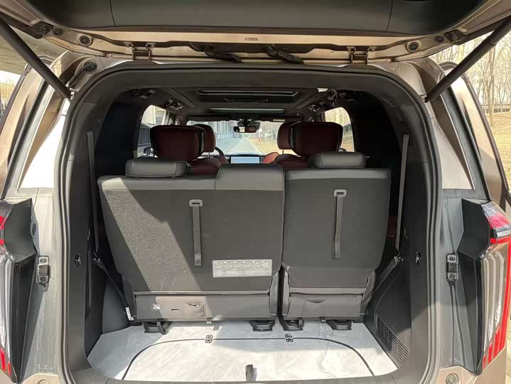 Trumpchi M8 2023 — фото 16