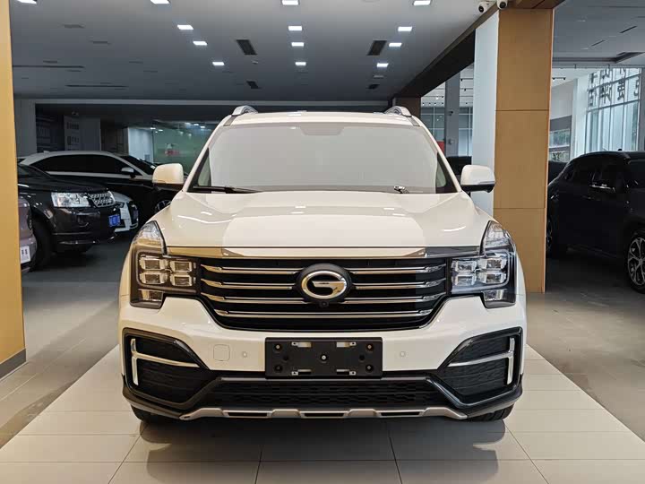 Trumpchi GS8 2020 390 T 2 WD ( ) — фото 3